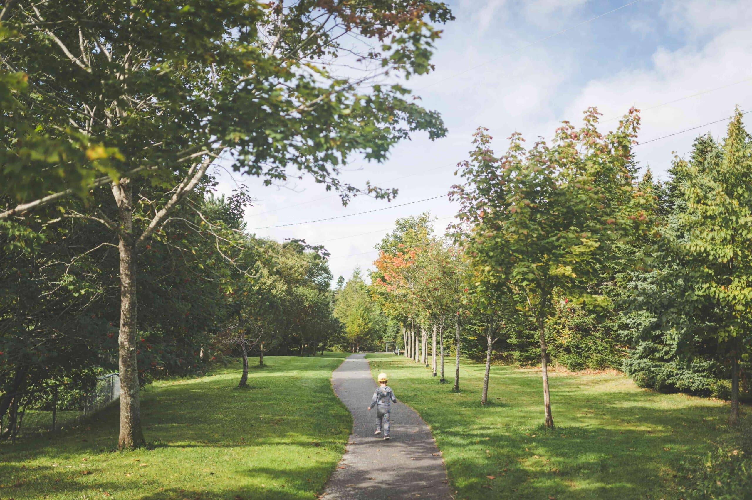Best Hawthorne Parks for a Post-Dentist Treat 4 park in hawthorne california